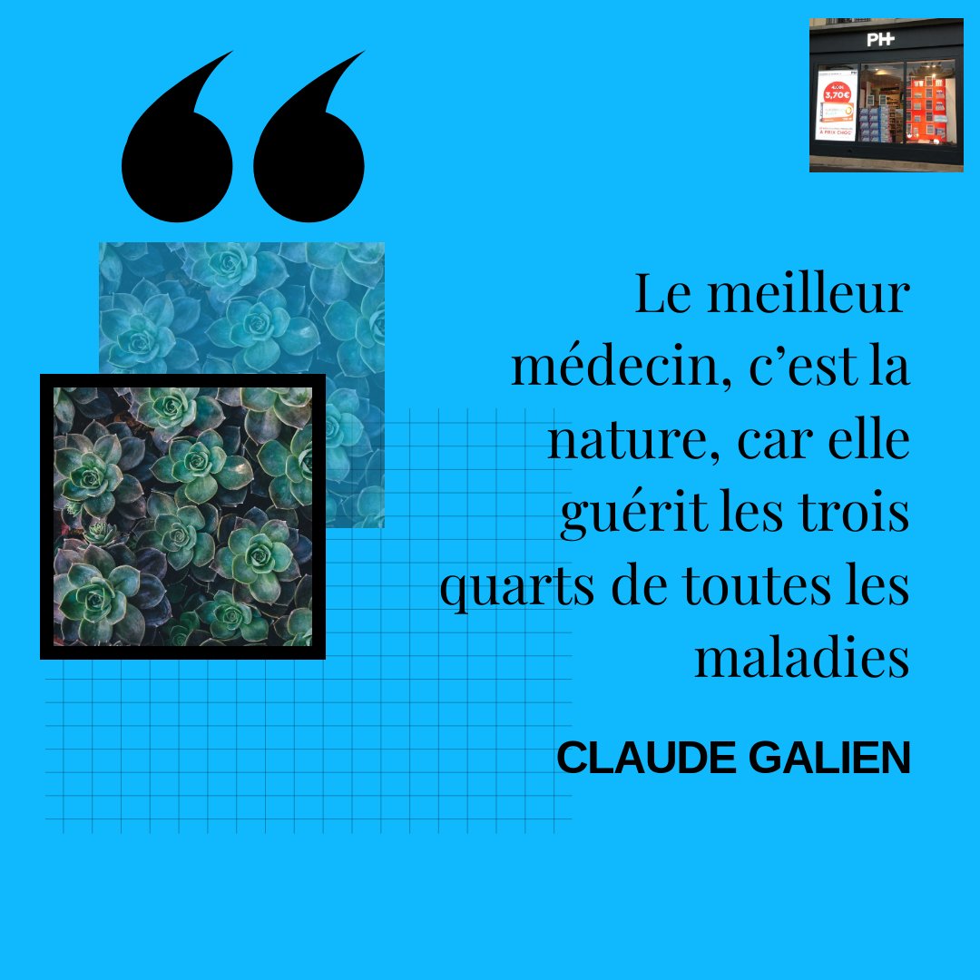 BelgrandTenon's tweet image. {Citation du jour} 😎

Quand la #nature fait bien les choses...🌿

#médecinedouce #médecinenaturelle