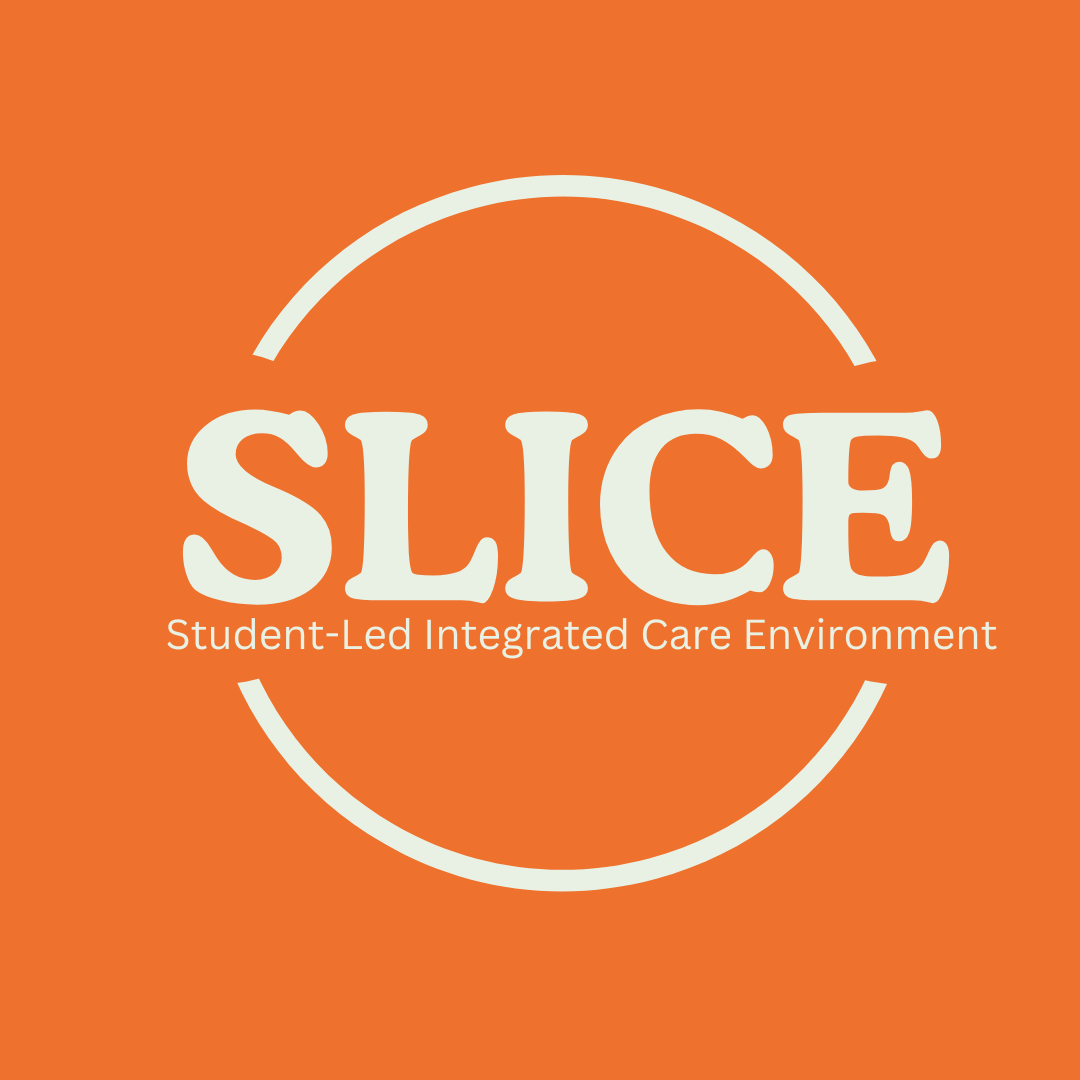 LEAP_HNY's tweet photo. Enjoying our collaboration with @UniOfHull and @HumberNHSFT Integrated Older People's Mental Health Team in Hull, to test another Student-Led Integrated Care Environment approach💥Watch this space for outputs later in the year!   #mentalhealth #studentledclinic #SLICE https://t.co/BzVPqWONDl