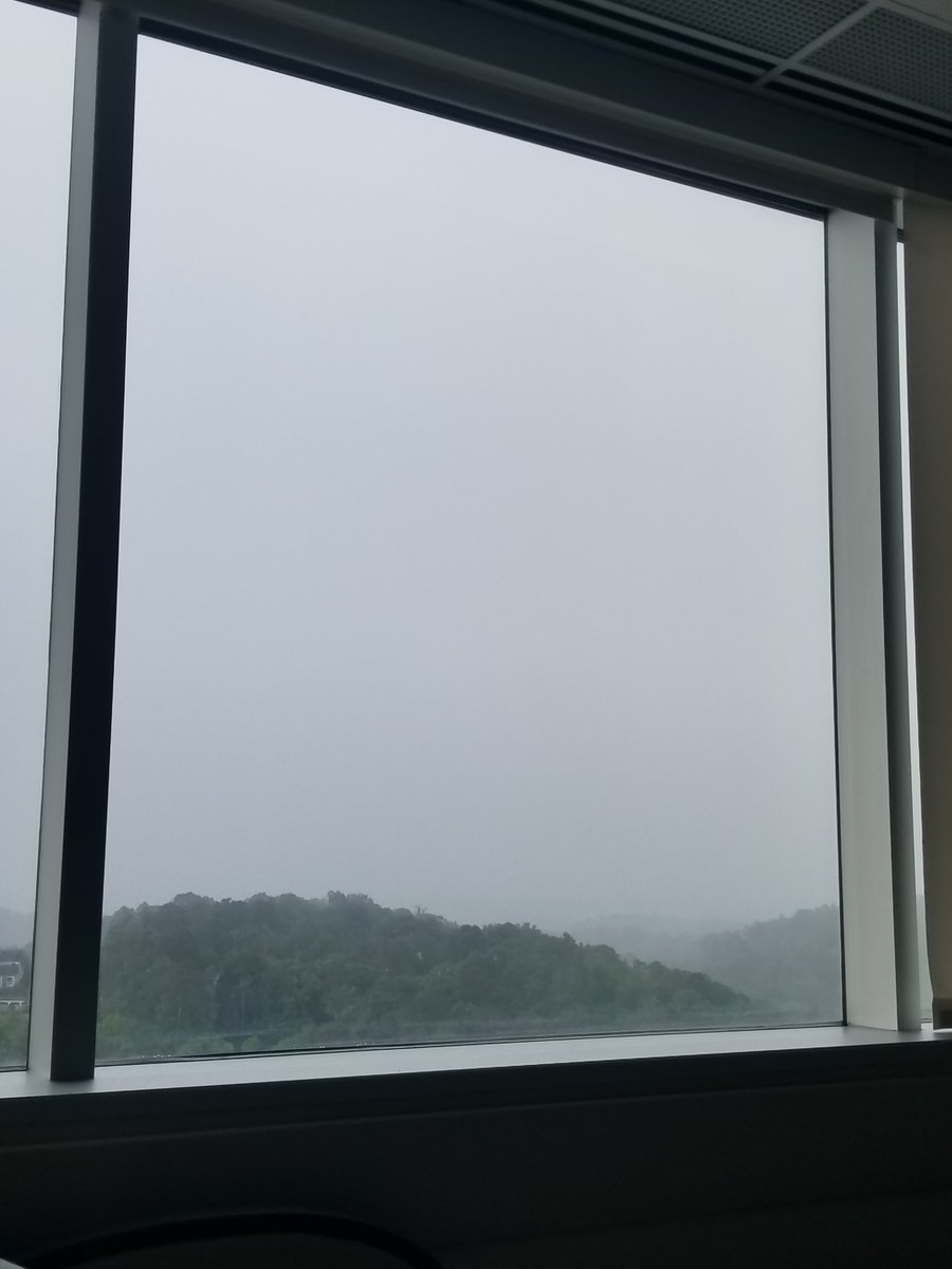 sunnylee's tweet image. From 12th floor Grandview Medical Center room