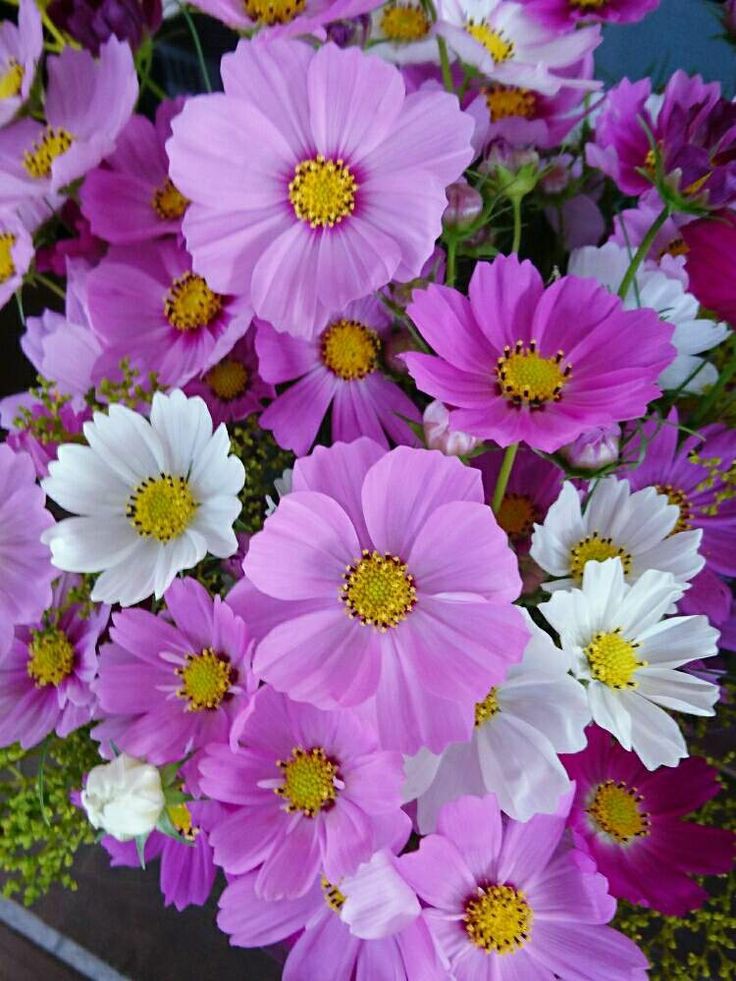 Have a nice day !