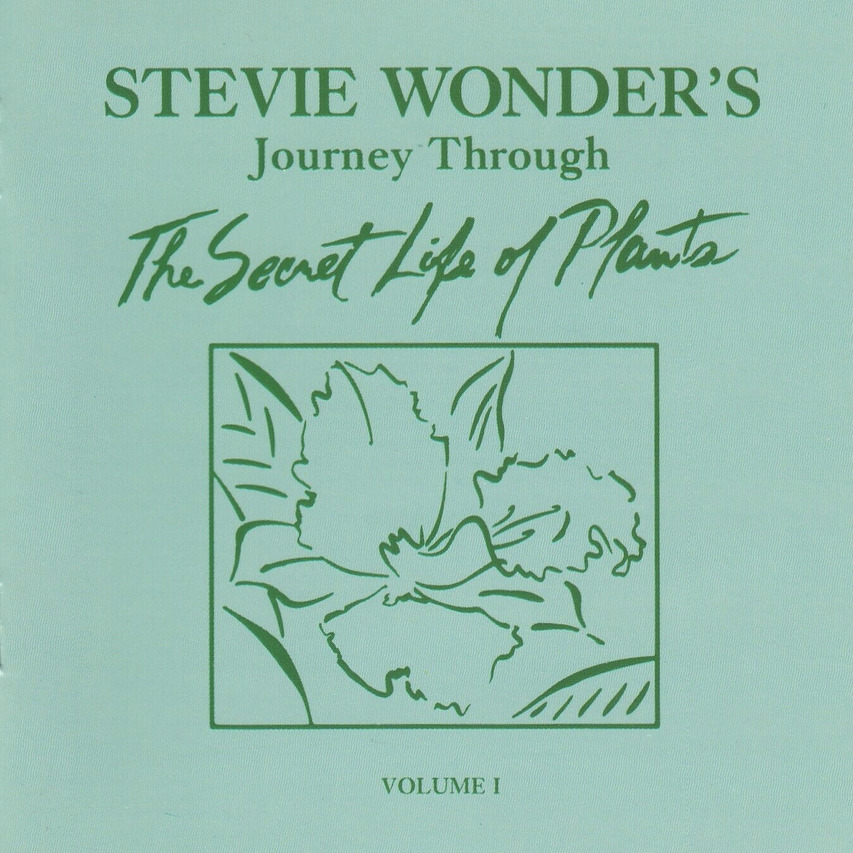 graphik_feed's tweet image. #archivesarea #brand #branding #brandinginspiration #design #designer #digitalcreator #digitartshare