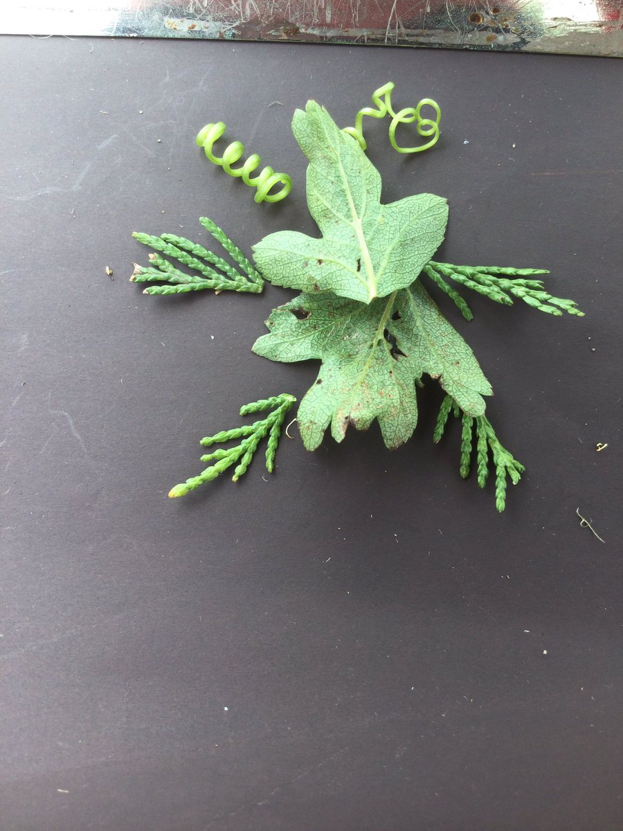 HTAClassSmith's tweet photo. Years 3/4 F had a very creative Forest School afternoon finding out about the insects in Ecoland.We made Ikebana insects inspired by the artist Raku Inoue using plants and flowers.#HTAforestschool https://t.co/VDLUIyIzQO