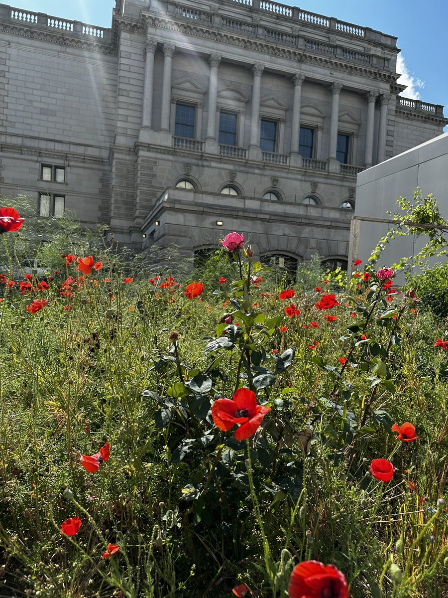 Rick Page tweet media