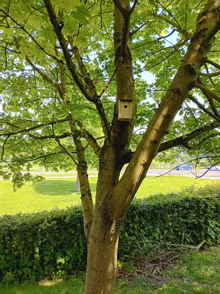 DavMethodist's tweet photo. Last Sunday @DavMethodist  Young Church put up bird boxes, a bird feeder, a bee hotel and planted plants &amp; seeds for butterflies. They are looking forward to welcoming more insects and birds to the church grounds and helping the church become more Eco friendly. #ecochurch https://t.co/LQmEr2IKbt