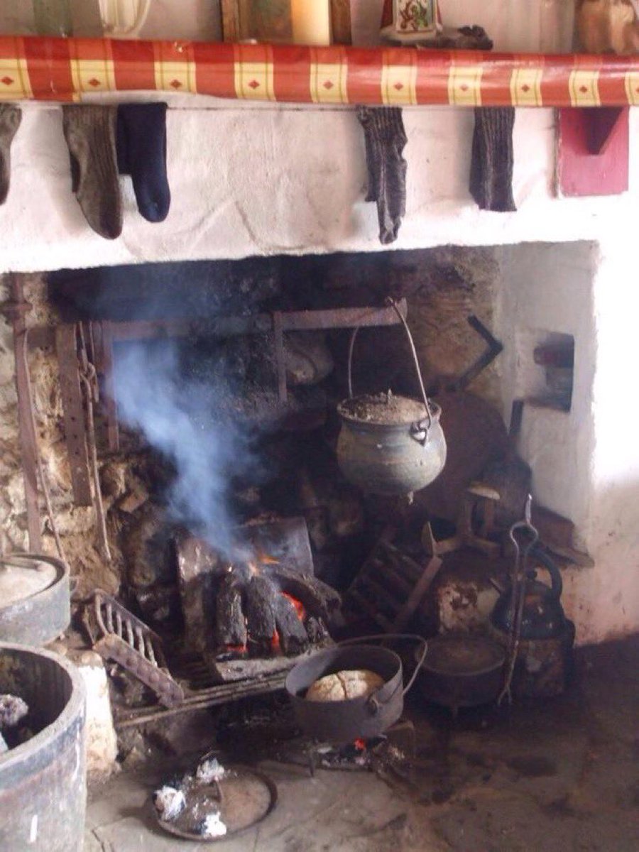 Dan O Hara Homestead tweet media