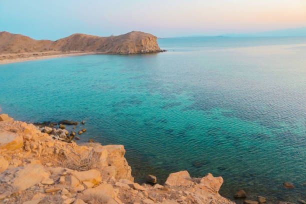 ShamiAfar's tweet photo. Justice for the people of the Red Sea!⚖✊ https://t.co/LctjdgLcxr