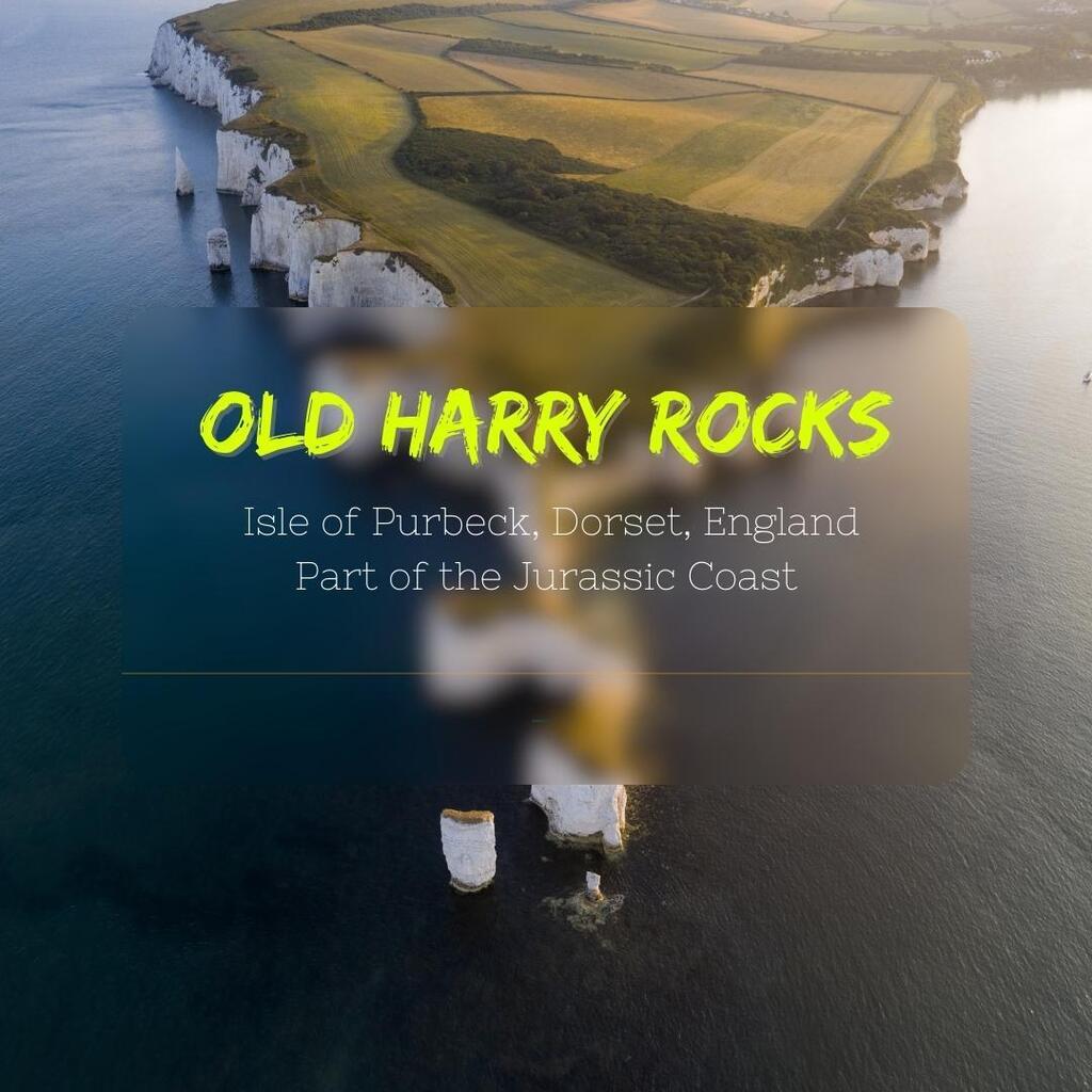 David & Sherry tweet media