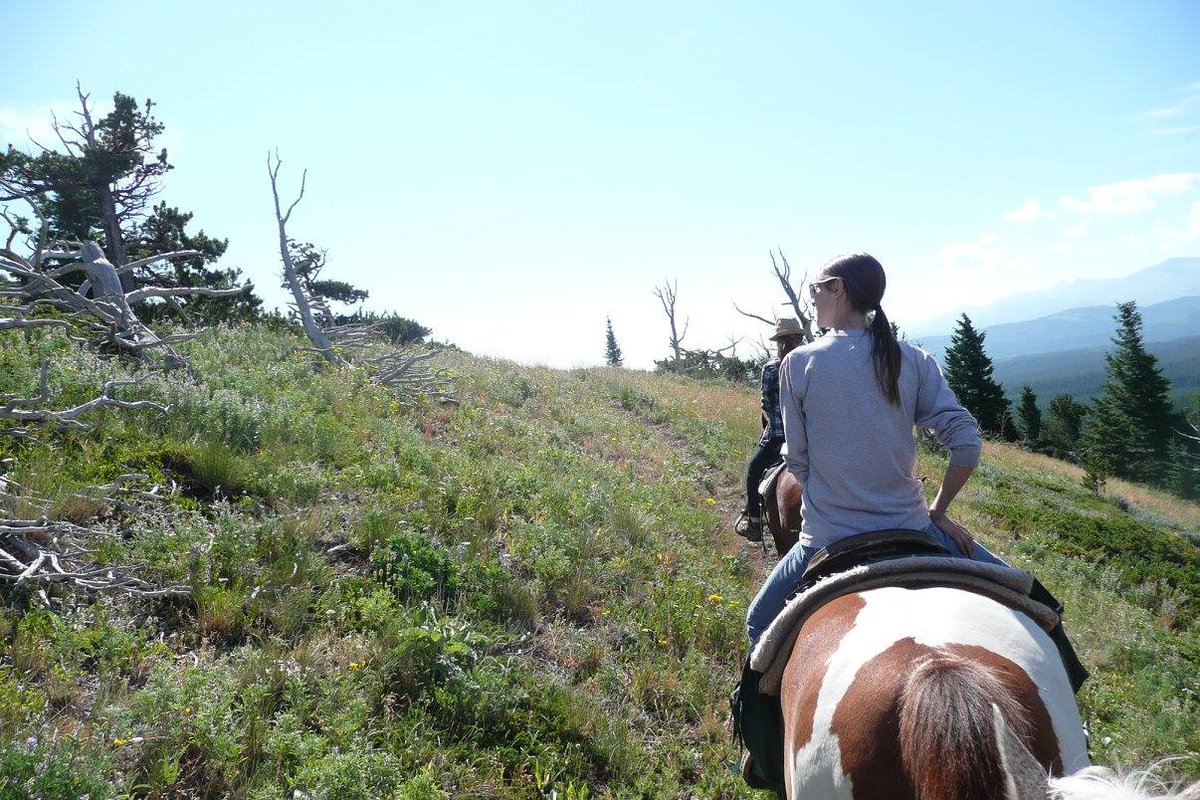 Throwback to horseback riding in b-e-a-utiful Montana
#Throwback #ThrowbackThursday #Horses #Horse #TrailRiding #Montana