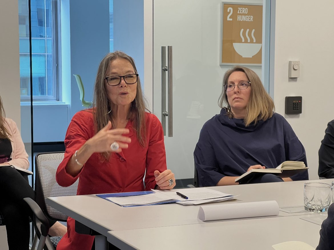 UNinWashington's tweet photo. The UN Resident and Humanitarian Coordinator in Haiti @UlrikaR_UN started her 3-day mission to DC today by meeting w/ UN officials and think tanks. She's here to discuss Haiti's humanitarian and development crisis with the US Government, the @WorldBank, @IMFNews and NGOs. https://t.co/9aHMUq7OIR
