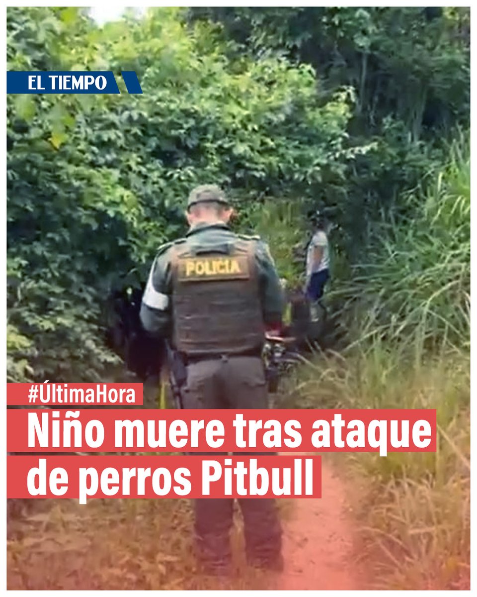 ELTIEMPO's tweet photo. 🚨 Tragedia en Bucaramanga: niño de 4 años murió al ser mordido por varios perros Pitbull ► https://t.co/5LggF1b0Vi

Esto se sabe del lamentable hecho. https://t.co/Or7mWdvEZD