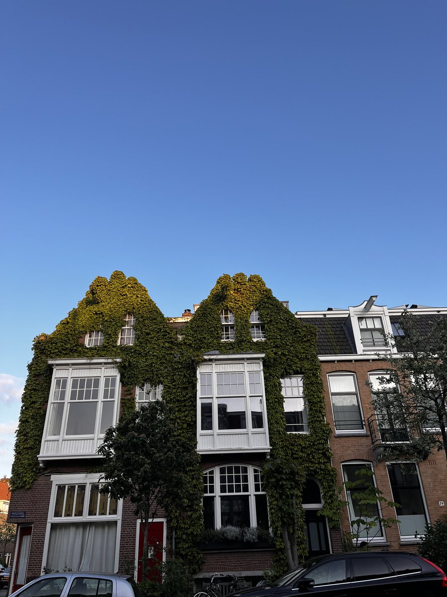 Evening walks and it was just so beautiful 🫶🏼