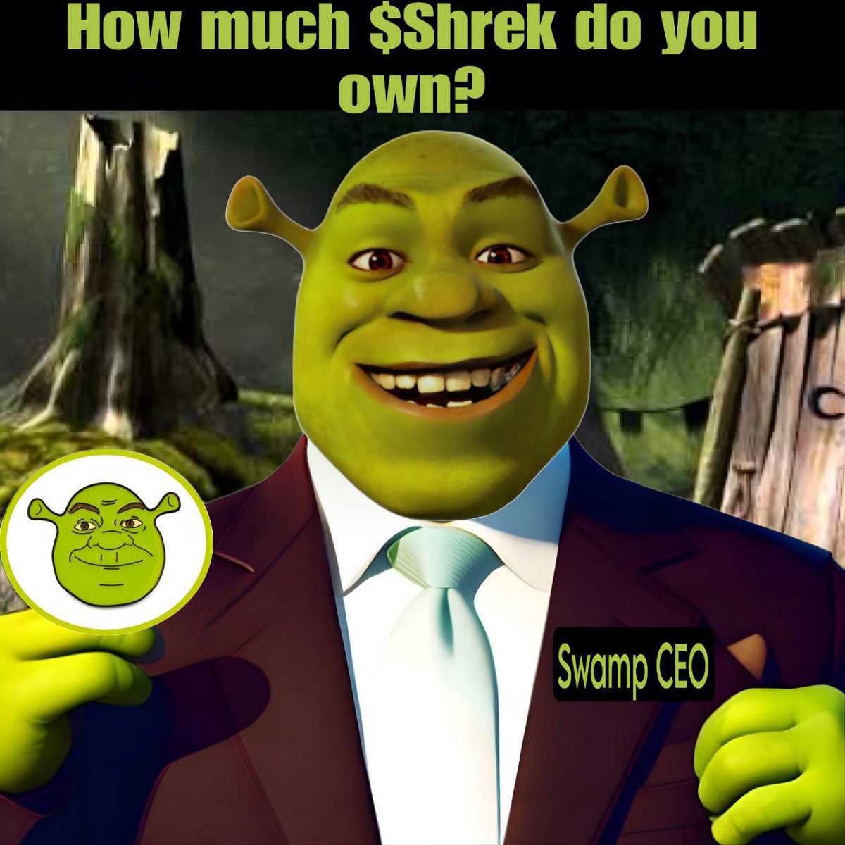 Shrek_ERC's tweet photo. @Cobratate So buy more $Shrek Got it 🫡

We’ll see you at the moon shortly 🧌 https://t.co/70uMdshrDd