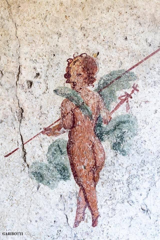 Nora Garibotti tweet media