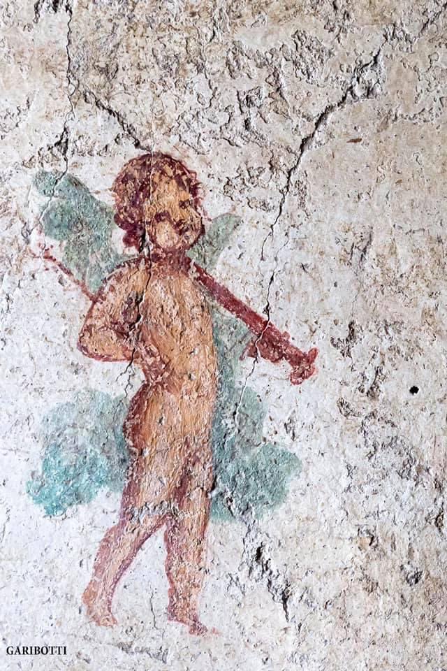 Nora Garibotti tweet media