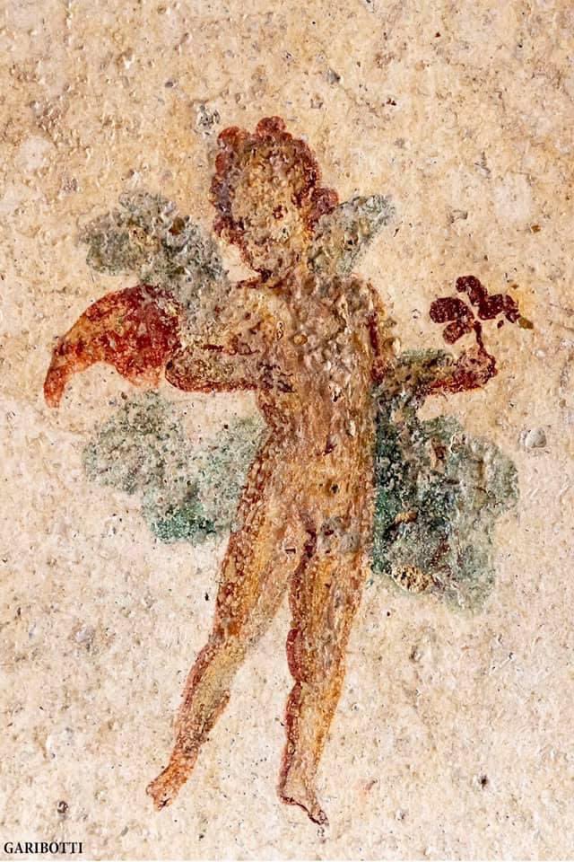 Nora Garibotti tweet media