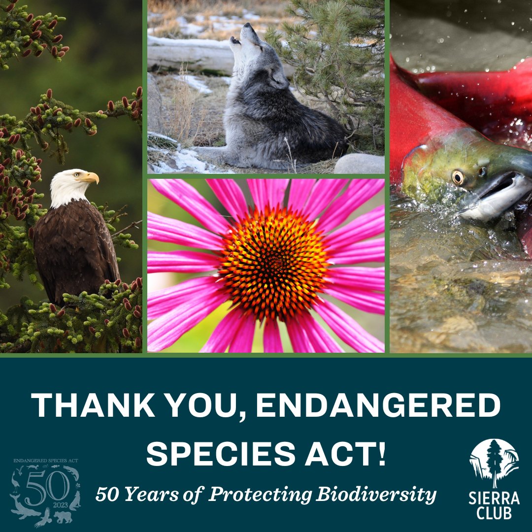 Sierra Club tweet media