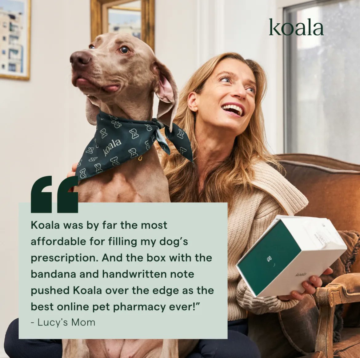 Koala Health tweet media