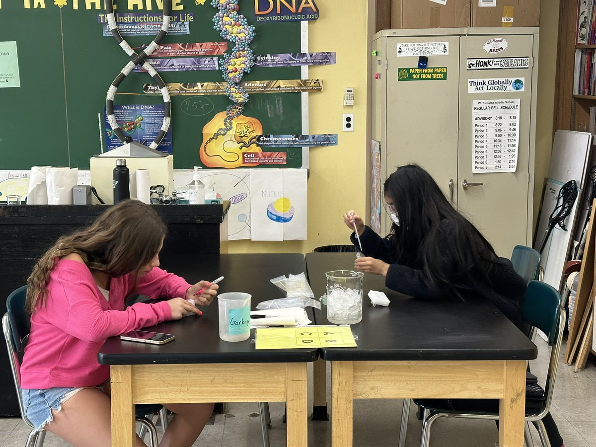 Wendy Wansor tweet media