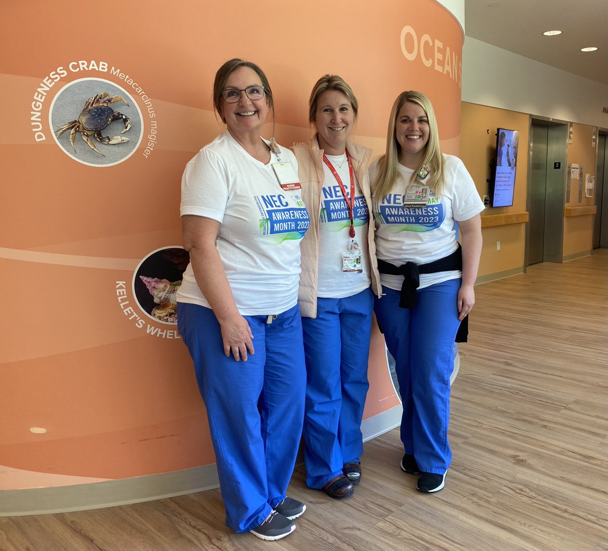 Stanford Neonatology tweet media