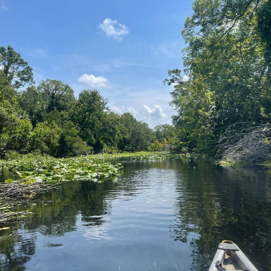 murdurRUS's tweet photo. Moved back to Florida and it’s been a fun month in the sunshine state. New school, Two camping trips, museum with my brother’s fam, art show my cousin DJ’d for, couple of birthdays, couple rounds of disc golf, tons of quality time with family and friends… https://t.co/WAqVrRkc5m https://t.co/xyLMKKNTFB