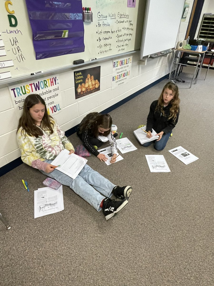 Stacy Garrepy tweet media