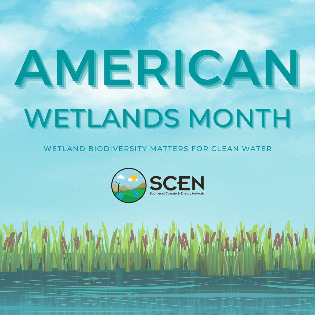 Celebrating American Wetlands Month! Discover the vitality of Southeastern wetlands: A haven of life and ecosystem resilience! From the marshes to swamps, these wetlands play a crucial role in preserving biodiversity, protecting against floods, and filtering water.#WetlandsMatter