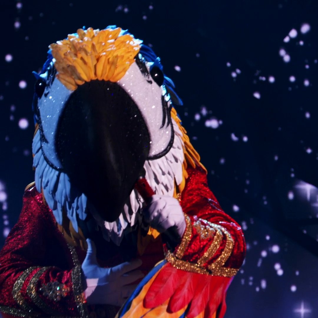 The Masked Singer on Twitter "Trying to keep MacawMask close to us