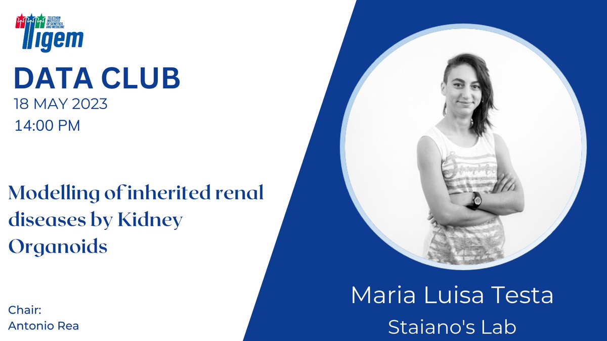 Tigem Telethon (@tigem_telethon) on Twitter photo #TigemDataClub
Today Maria Luisa Testa, from the <a href="/StaianoLeopoldo/">LeopoldoStaiano</a> 's group will present her new results on modelling of #inherited #RenalDiseases by #kidney #Organoids
More info on the lab here:
tigem.it/research/resea… #TigemDataClub
Today Maria Luisa Testa, from the <a href="/StaianoLeopoldo/">LeopoldoStaiano</a> 's group will present her new results on modelling of #inherited #RenalDiseases by #kidney #Organoids
More info on the lab here:
tigem.it/research/resea…