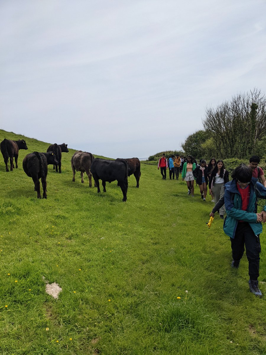 LangleyGSGeog's tweet photo. Some highlights of our hike along the beautiful South Devon coastline. https://t.co/8fPKxreVFx