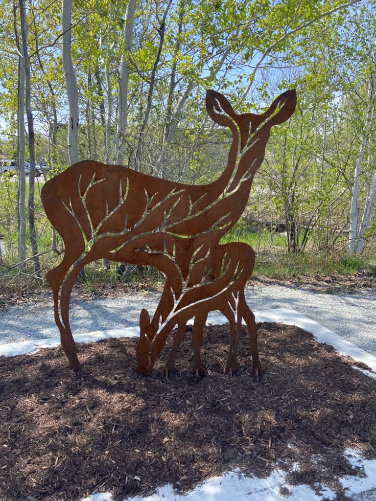 Leslie Fournier tweet media