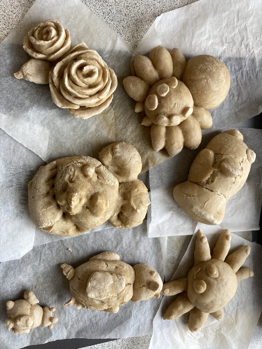 MsMatthewBio's tweet image. Beautiful bread by brilliant S3s as our work through biotechnology continues..