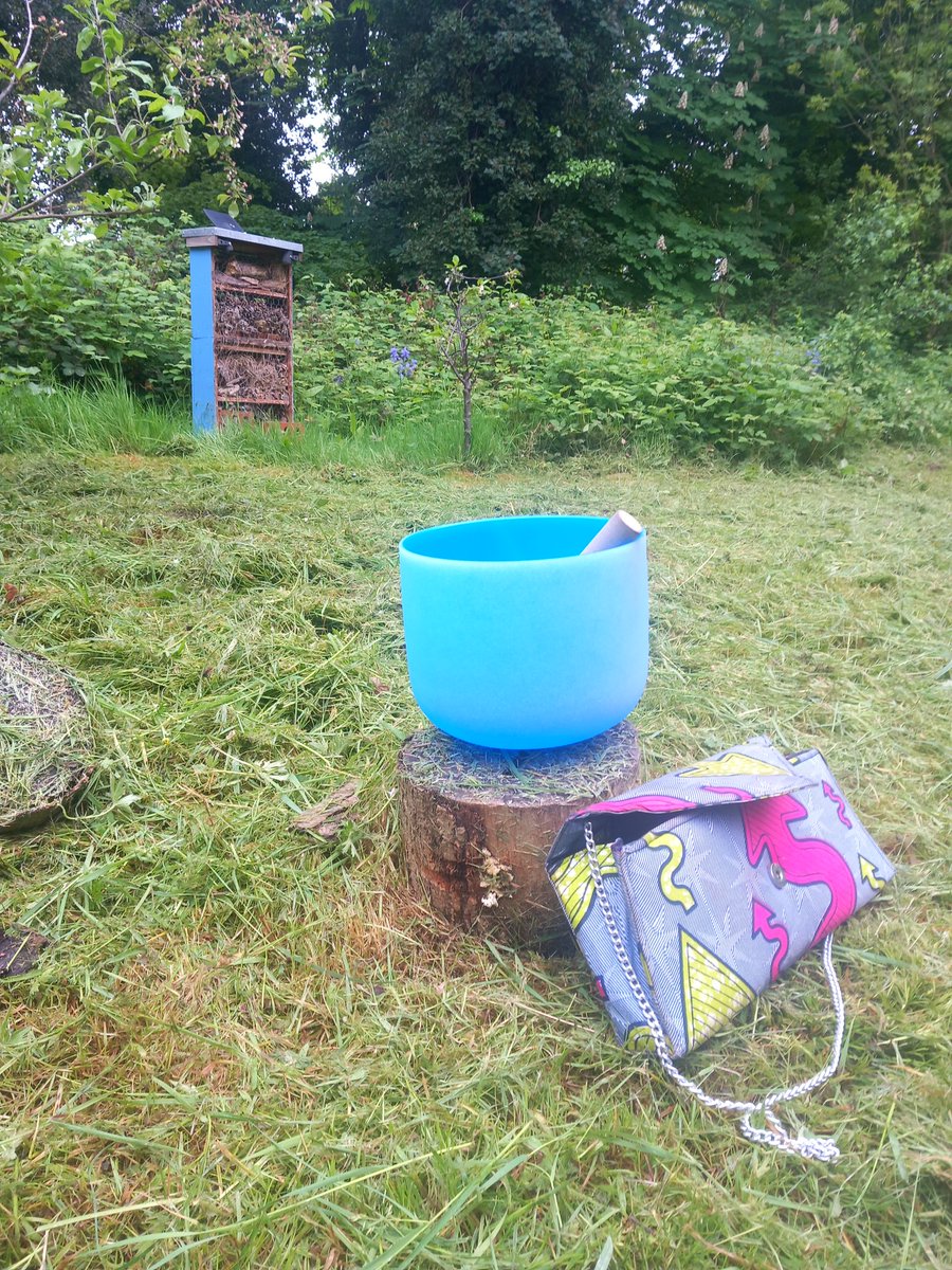 Risk assessment for <a href="/cpp_friends/">Friends of Crystal Palace Park</a>  completed 🥰 #crystalpalacepark #singingbowls #mentalhealthfacilitator #musichealer #radiobroadcaster #spokenwordartist #hometerritories