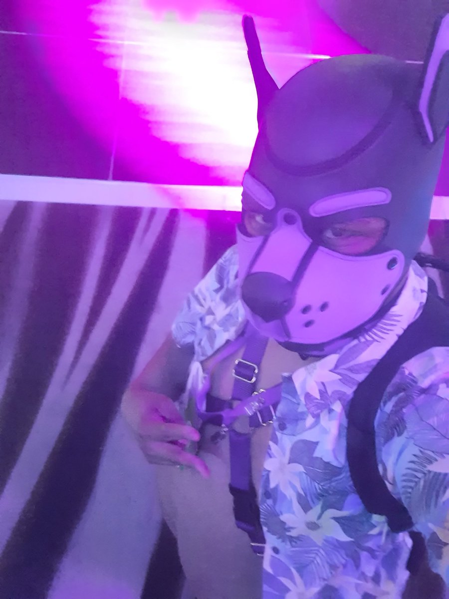 Bark bark!! Chirp chirp!