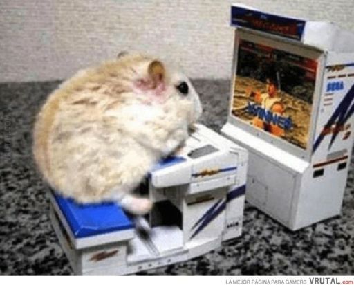 ygame_s's tweet photo. Nuevo ratón gamer🐹, disponible en todos los colores, más información en nuestra web.🤩
#1xvecmd #hamster #gamer https://t.co/kK55haZHfh