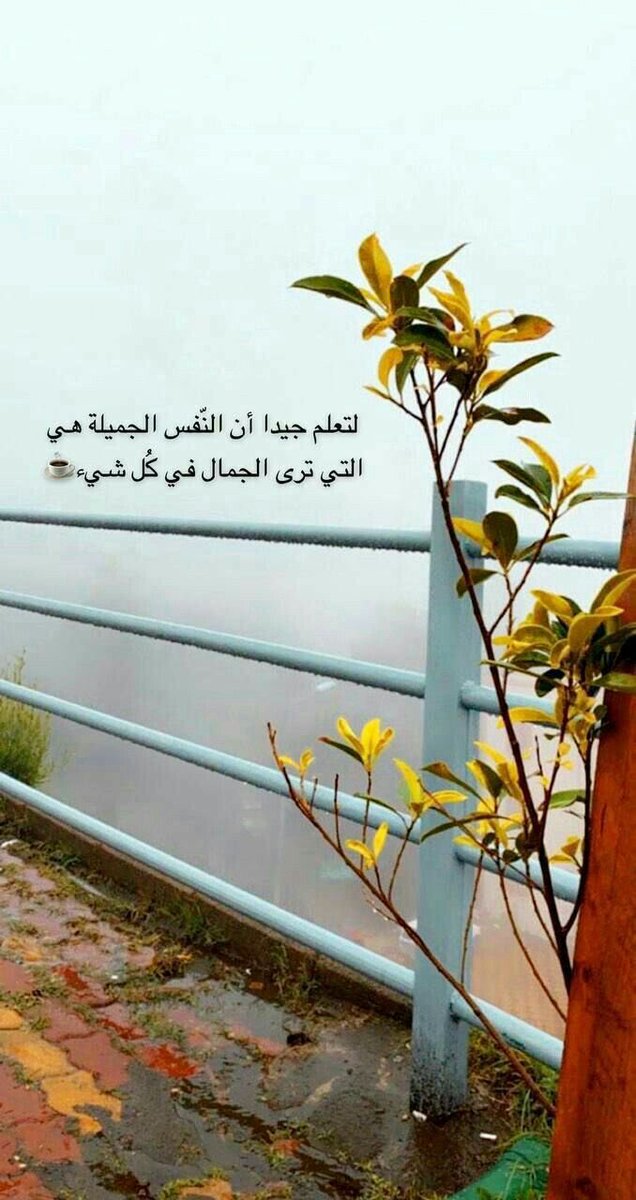 hya_1000 tweet picture
