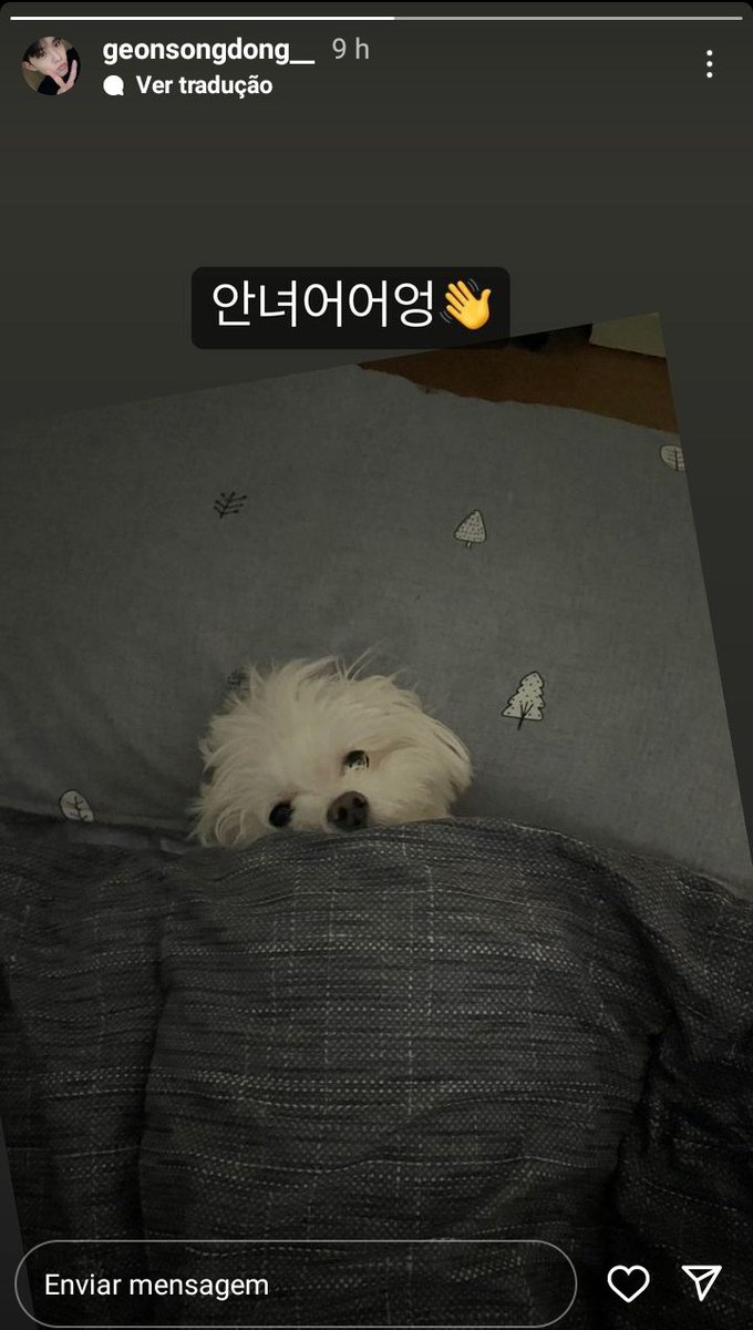 🦁 | 17.06.23 - Donggeon via Storie (Instagram Pessoal)

"Oiiiii👋"

#TO1 #티오원 #DONGGEON #동건 #TOgether #투게다