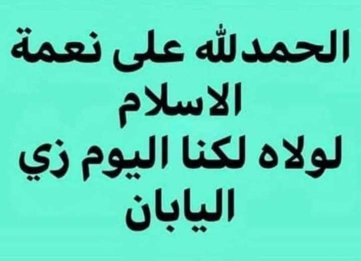 فؤاد خضر tweet media