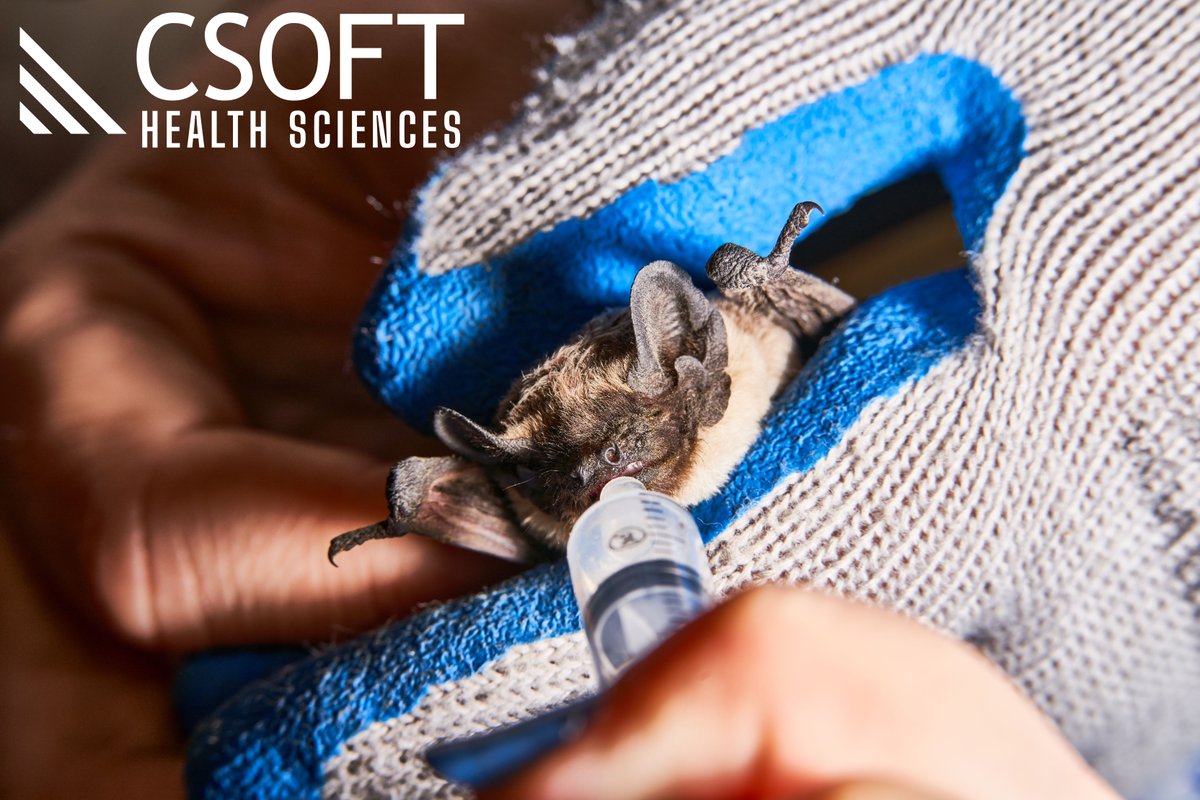 CSOFTHealth's tweet image. A new Reuters report identifies “jump zones” with increased risk of bat-to-human virus transmission in 113 countries across the globe, highlighting a vast need for #immunology #translations to drive research on the prevention and containment of outbreaks: ow.ly/XImX50OqoN7