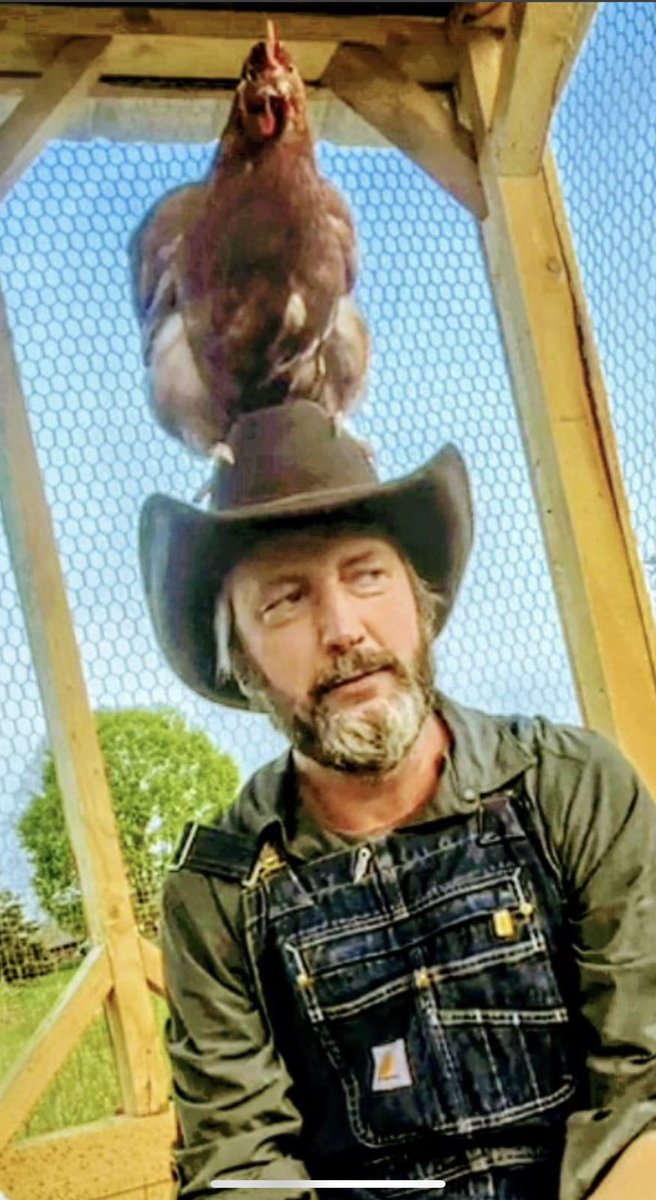 tomgreenlive's tweet photo. I have a chicken on my head https://t.co/1iRnnMeFRy
