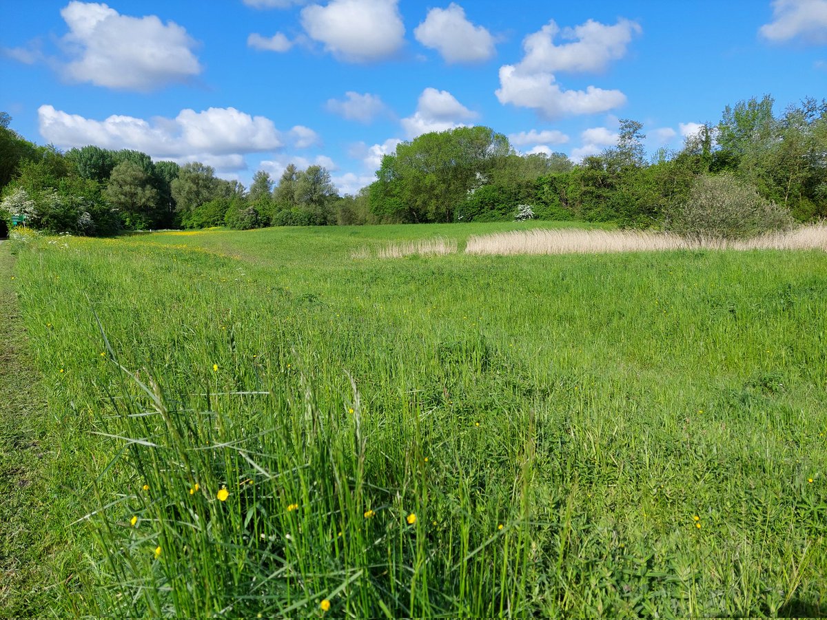 ecoloog079 tweet media