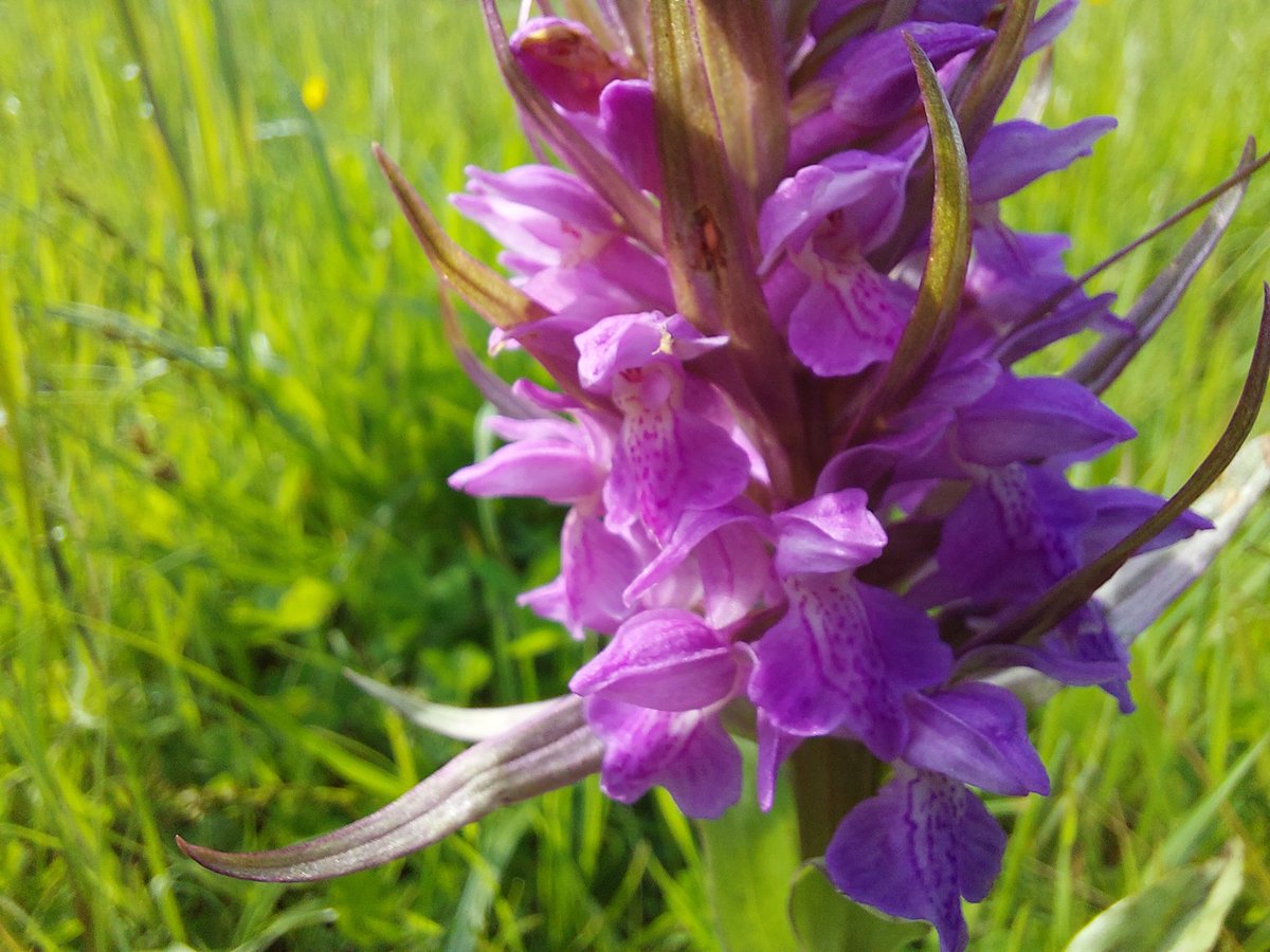 ecoloog079 tweet media