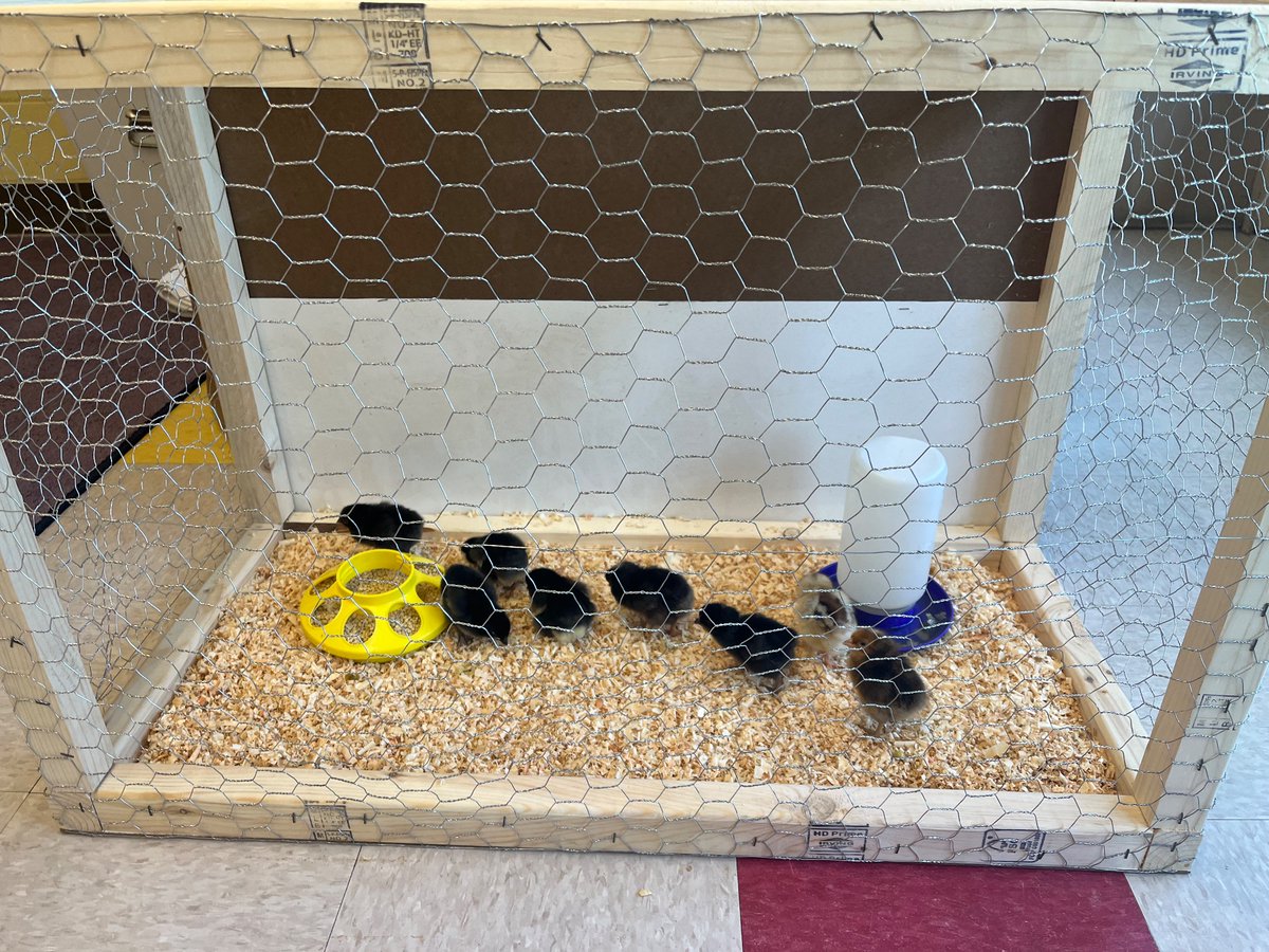 Miss Clinger tweet media