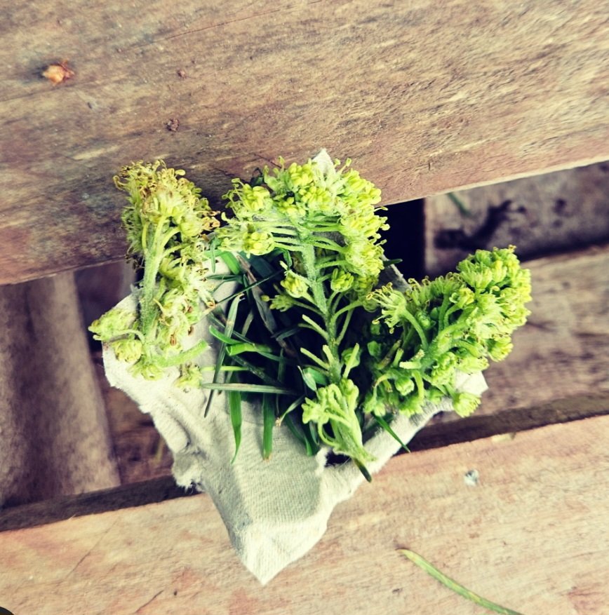 1st forest school session with yr 1! We made tiny nests - so comfy x 
@WarberryLAP @LAPacademies <a href="/Outdoors_Group/">The Outdoors Group</a> 
#natureislearning
