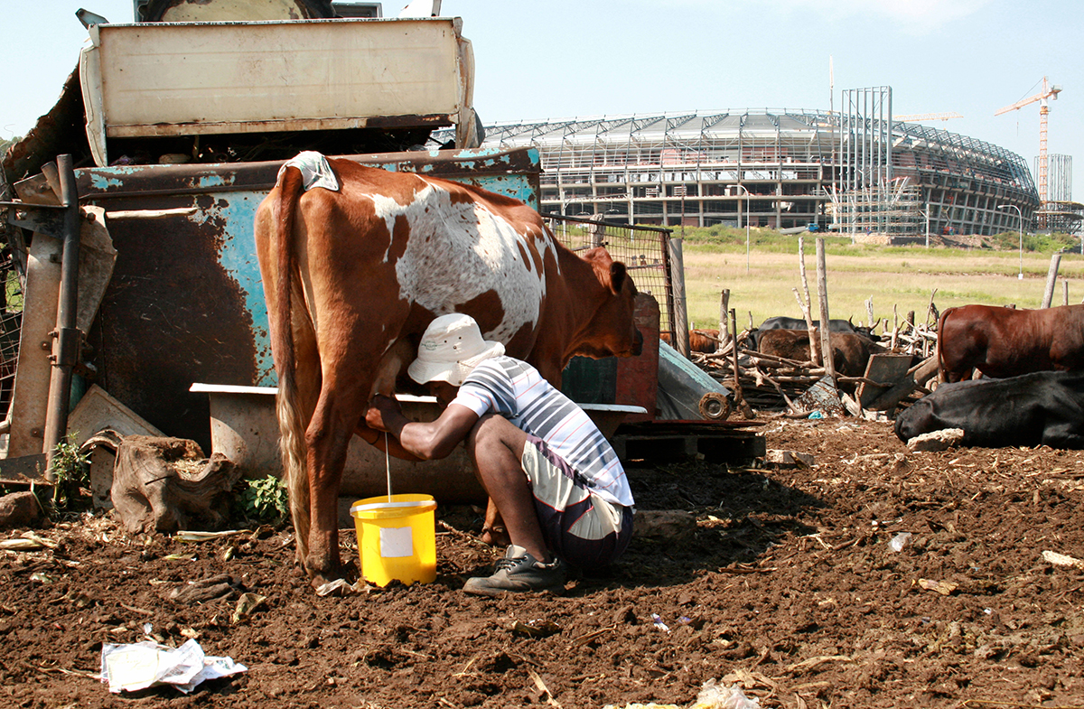 WorldPressPhoto's tweet photo. This week we’re showcasing The Market Photo Workshop (@_photoworkshop), our #Africa regional partner based in #Johannesburg, on our Instagram account. Take a look at the work of former and current students from the archives: https://t.co/CMUGhSLCXK https://t.co/er3FwlK5m4