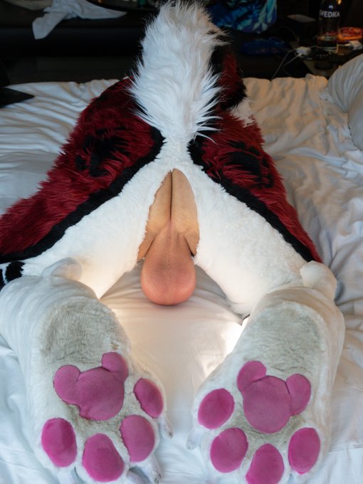 Watch Cenny After Bark's leaked NSFW photo on TwXstars