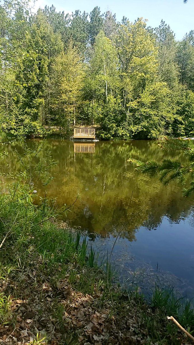 lawnboot1's tweet photo. lawnboot found #cubiecoin in a User vault at this location! Join me playing #coinhuntworld, It's awesome! https://t.co/M9ZJETr9LI #cryptocurrency #127747 https://t.co/MCfYJ0NhCE
