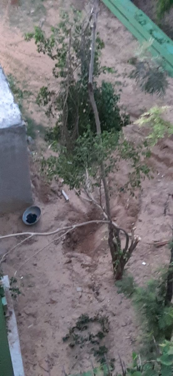 aj261285's tweet photo. We urge immediate action from all government departments involved to address this issue. The community's voice must be heard! @PMOIndia @CMODelhi @DelhiPolice @MCDdelhi @NGTribunal @OberoiShelly @LtGovDelhi @DCPSouthDelhi @AamAadmiParty @DelhiPolice @moefcc https://t.co/D7638wssbE