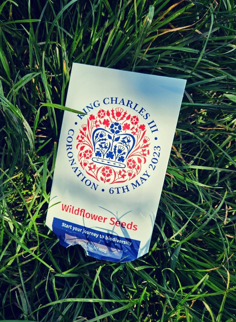 After school forest tribe took advantage of these wildflower seeds to sow a reclaimed patch of field
#lovewildflowers
@WarberryLAP @LAPacademies <a href="/Outdoors_Group/">The Outdoors Group</a>
