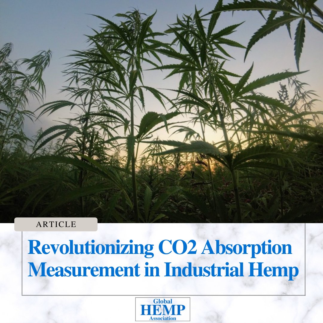 Growing Hemp Association tweet media