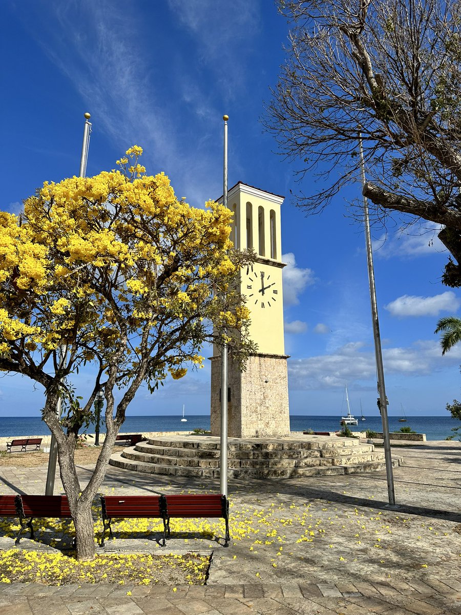What a gorgeous morning spent yesterday in #Frederiksted #StCroix #USVI … the #GingerThomas 🇻🇮 were just beautiful against the blue sky!